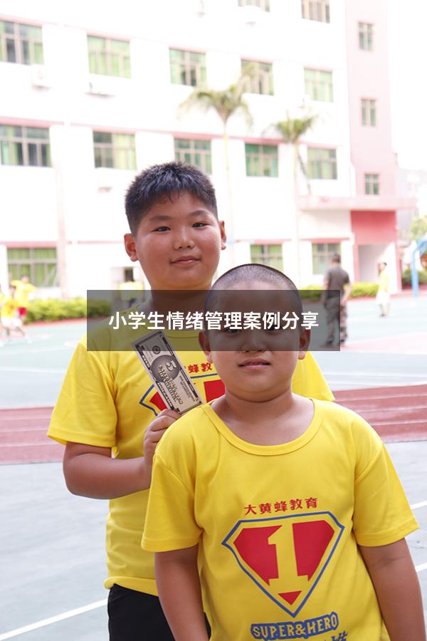小学生情绪管理案例分享