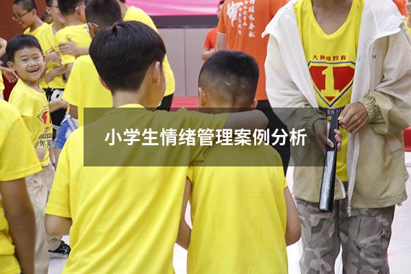 小学生情绪管理案例分析
