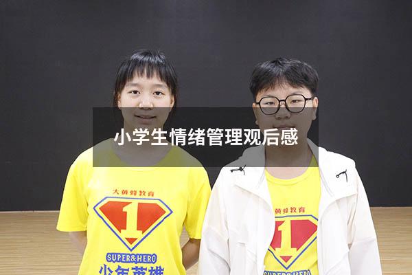 小学生情绪管理观后感