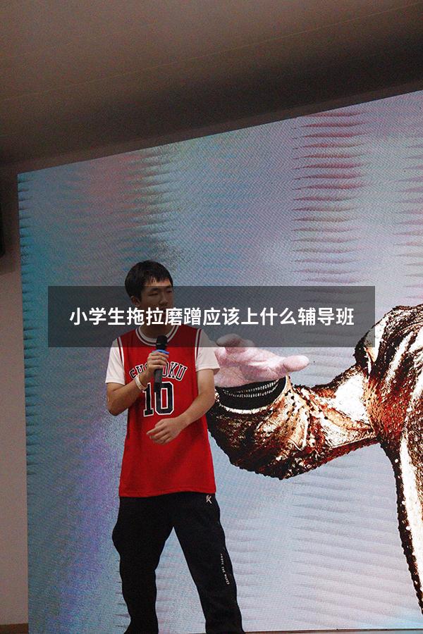 小学生拖拉磨蹭应该上什么辅导班