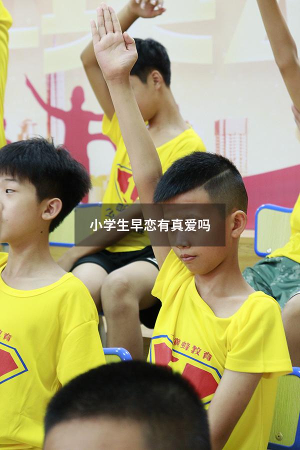 小学生早恋有真爱吗