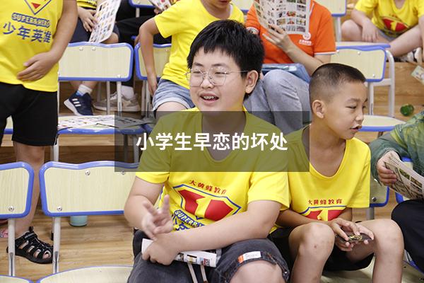 小学生早恋的坏处