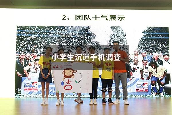 小学生沉迷手机调查（小学生沉迷网络游戏的案例）