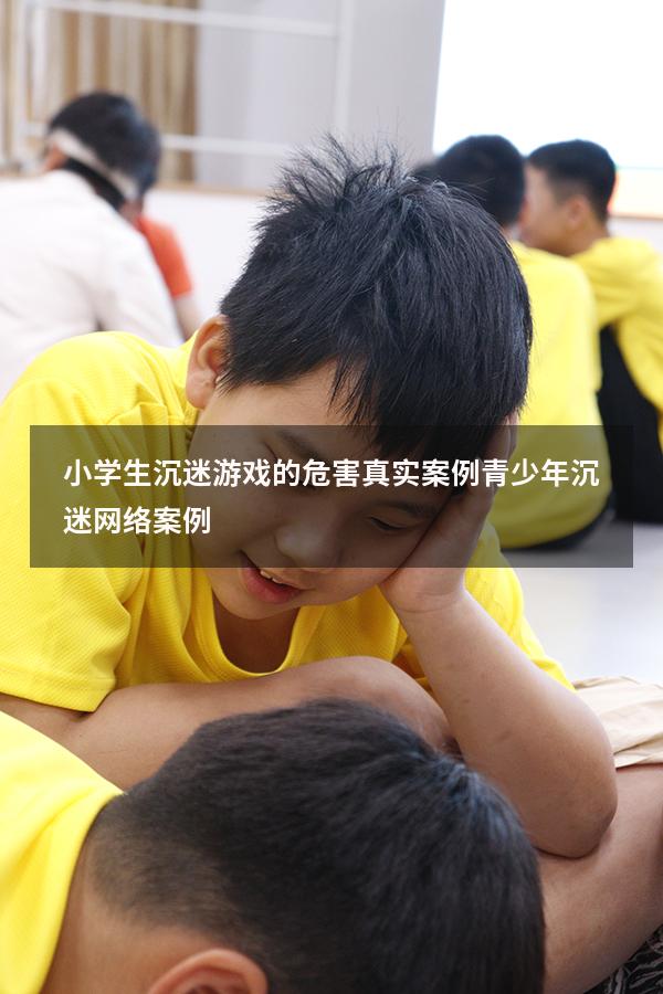 小学生沉迷游戏的危害真实案例（青少年沉迷网络案例）