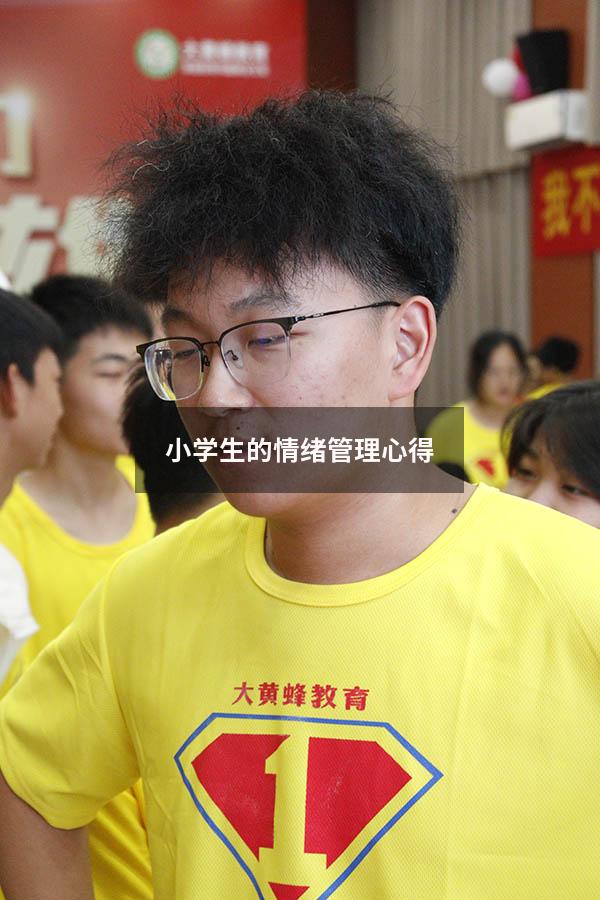 小学生的情绪管理心得