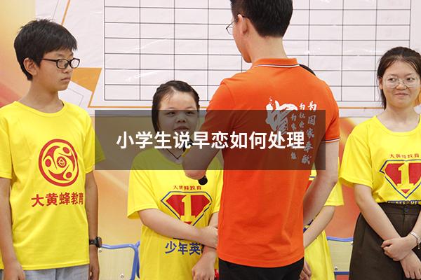 小学生说早恋如何处理
