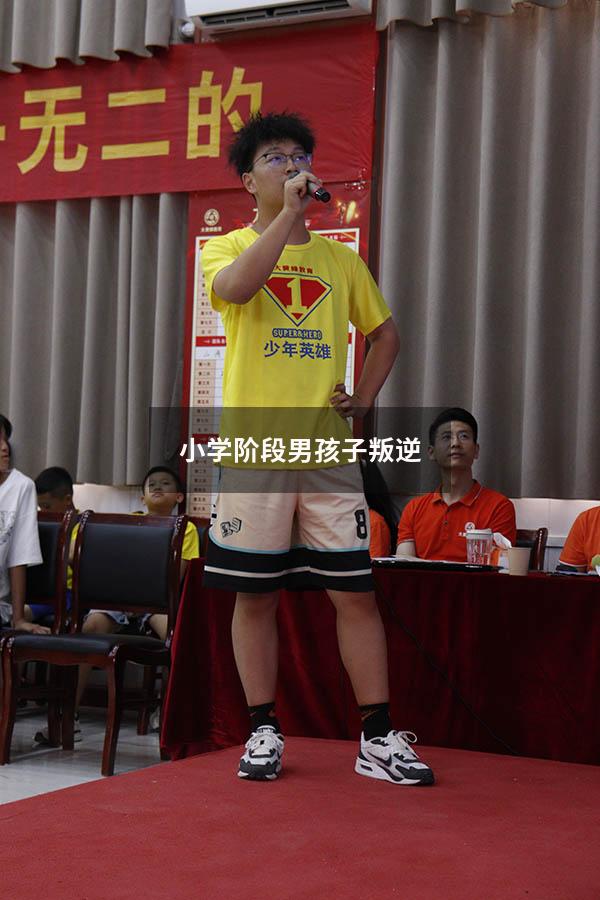 小学阶段男孩子叛逆