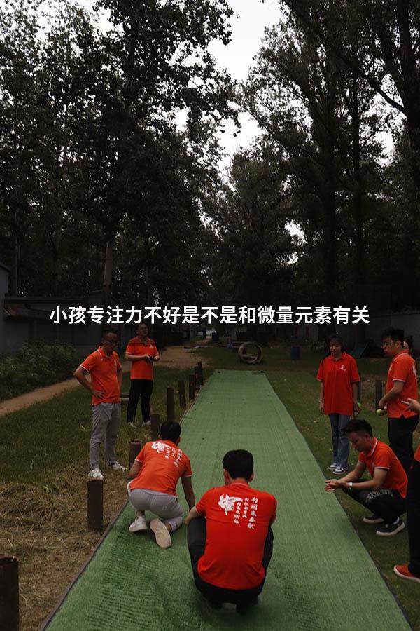 小孩专注力不好是不是和微量元素有关