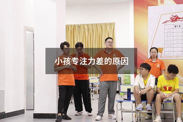 小孩专注力差的原因