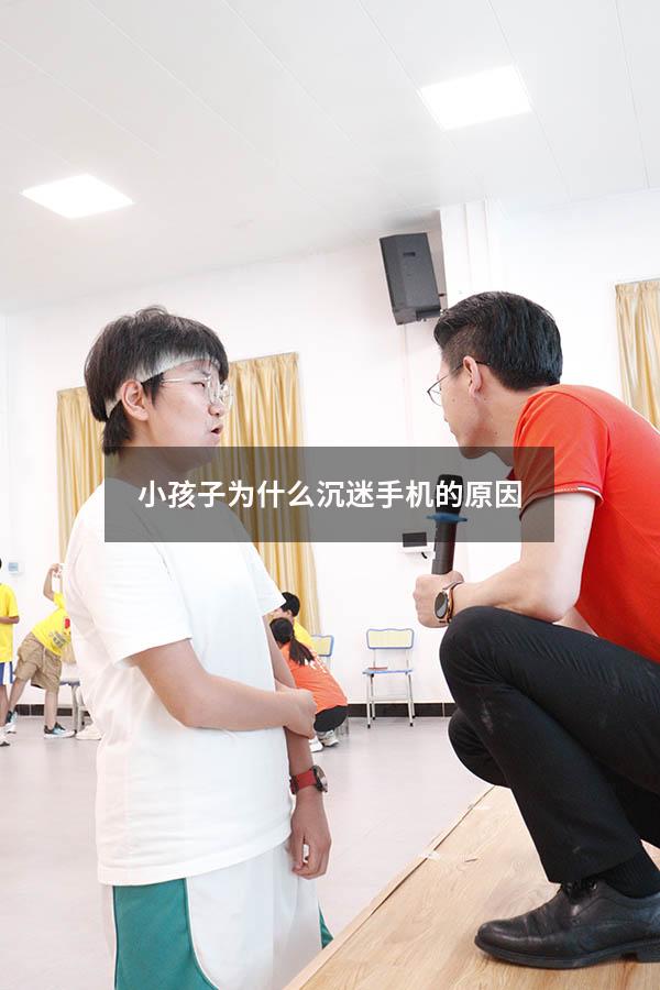 小孩子为什么沉迷手机的原因