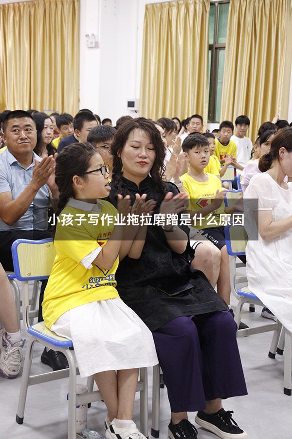 小孩子写作业拖拉磨蹭是什么原因