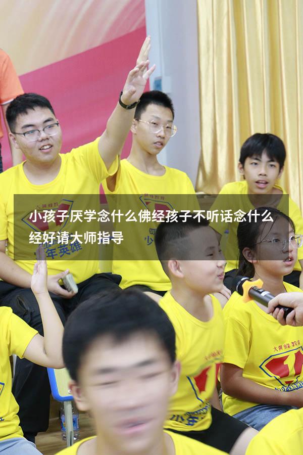 小孩子厌学念什么佛经（孩子不听话念什么经好请大师指导）