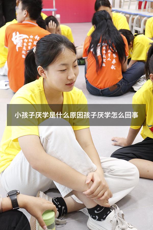 小孩子厌学是什么原因（孩子厌学怎么回事）