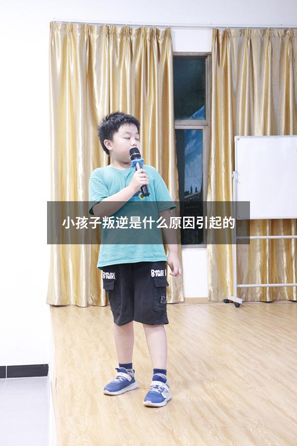小孩子叛逆是什么原因引起的