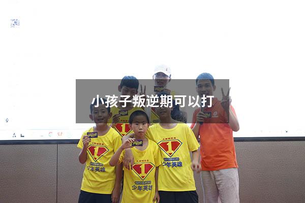 小孩子叛逆期可以打