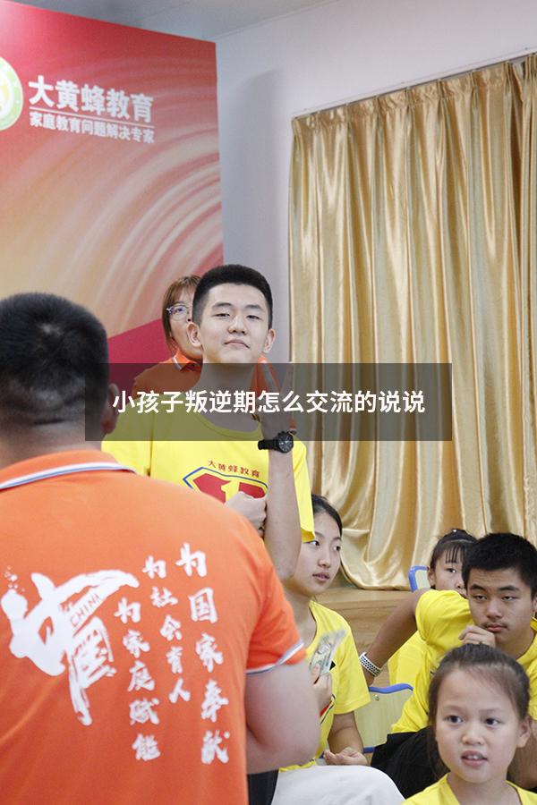 小孩子叛逆期怎么交流的说说