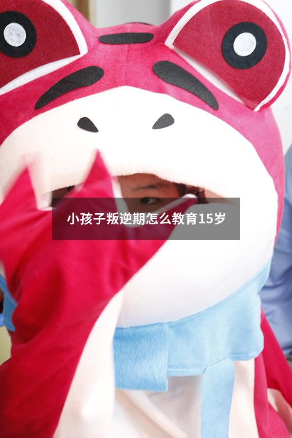 小孩子叛逆期怎么教育15岁（15六岁的小孩子叛逆期怎么教）