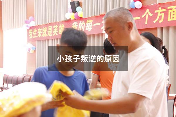 小孩子叛逆的原因