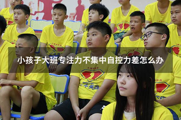 小孩子大班专注力不集中自控力差怎么办