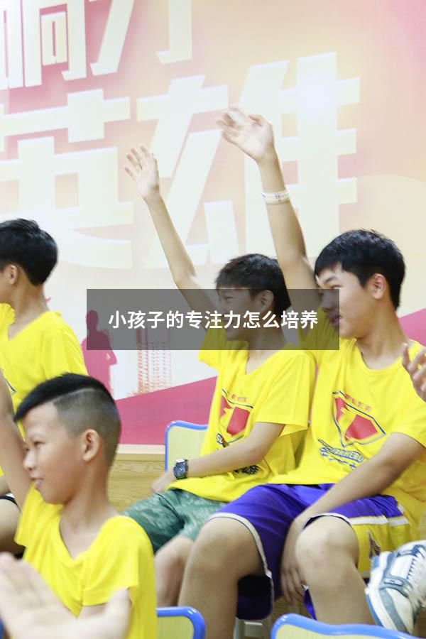 小孩子的专注力怎么培养8367