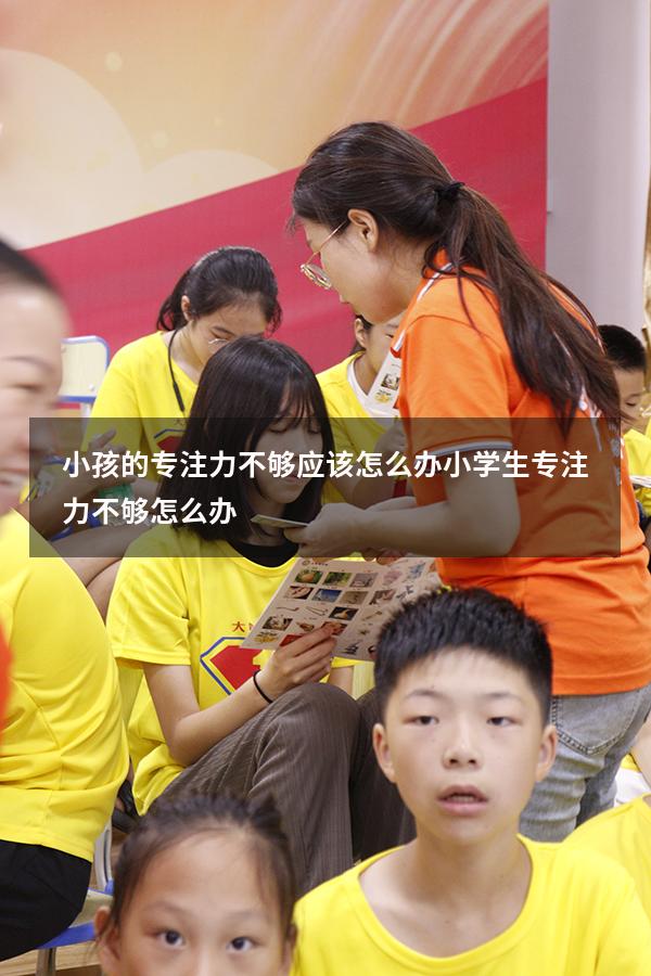 小孩的专注力不够应该怎么办（小学生专注力不够怎么办）