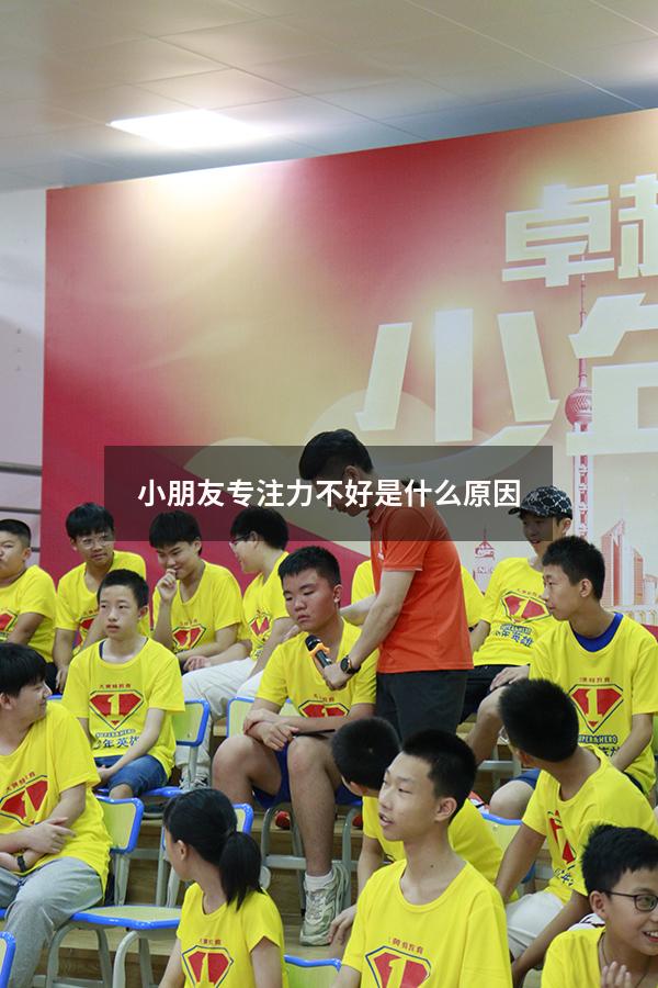 小朋友专注力不好是什么原因