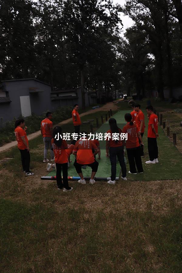 小班专注力培养案例