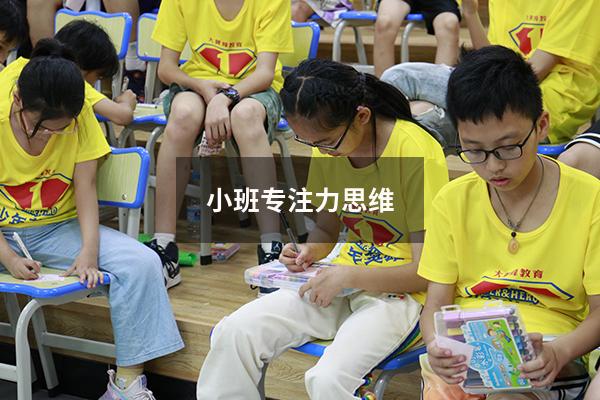 小班专注力思维