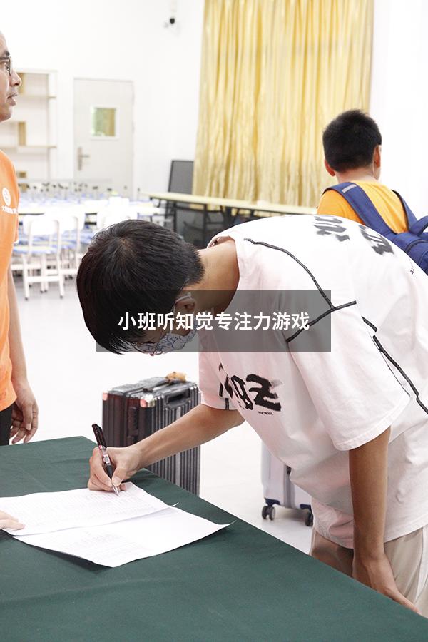 小班听知觉专注力游戏
