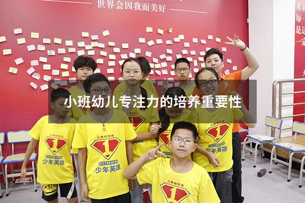 小班幼儿专注力的培养重要性