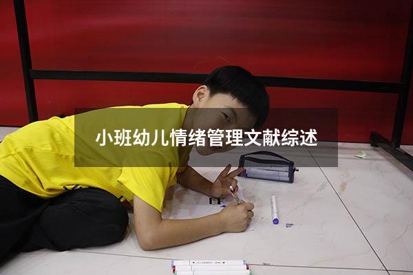 小班幼儿情绪管理文献综述