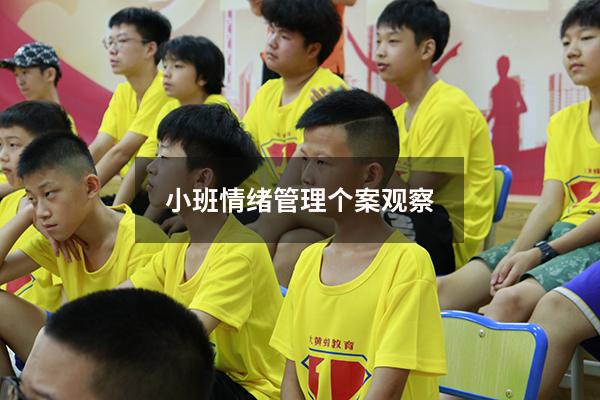 小班情绪管理个案观察