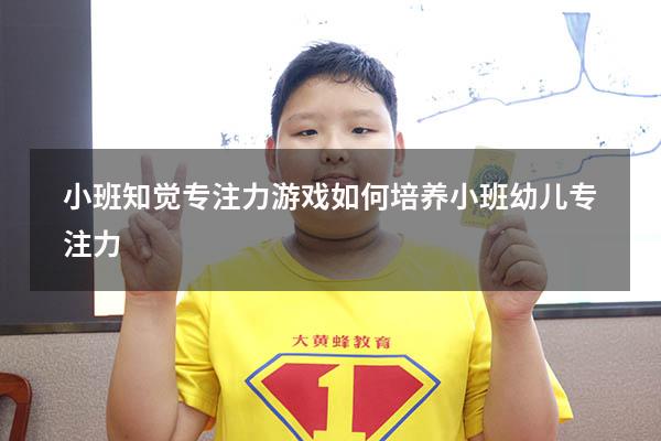 小班知觉专注力游戏（如何培养小班幼儿专注力）