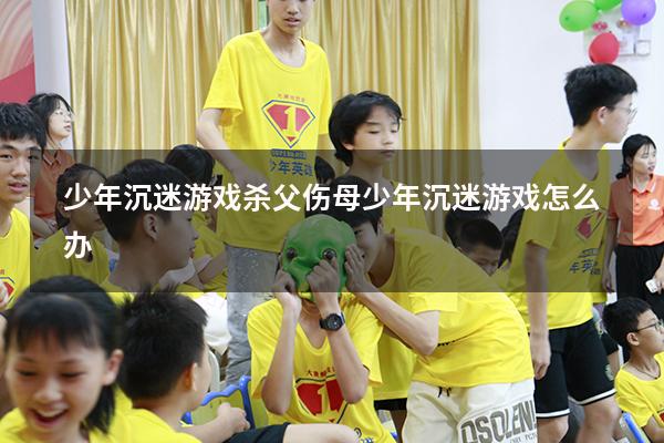 少年沉迷游戏杀父伤母（少年沉迷游戏怎么办）