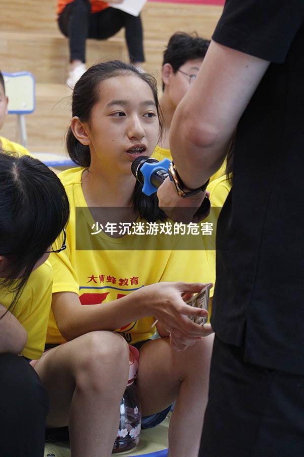 少年沉迷游戏的危害