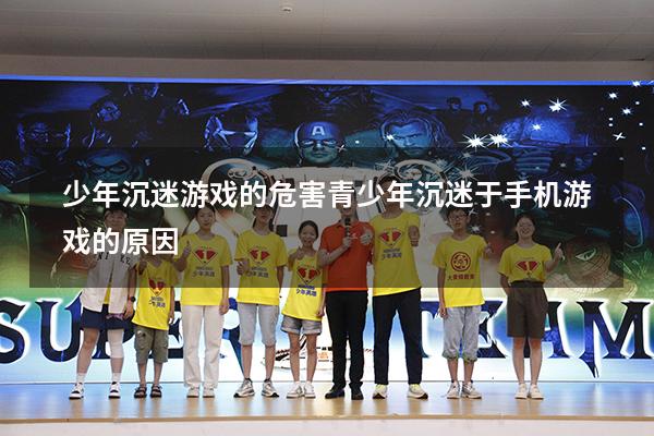 少年沉迷游戏的危害（青少年沉迷于手机游戏的原因）