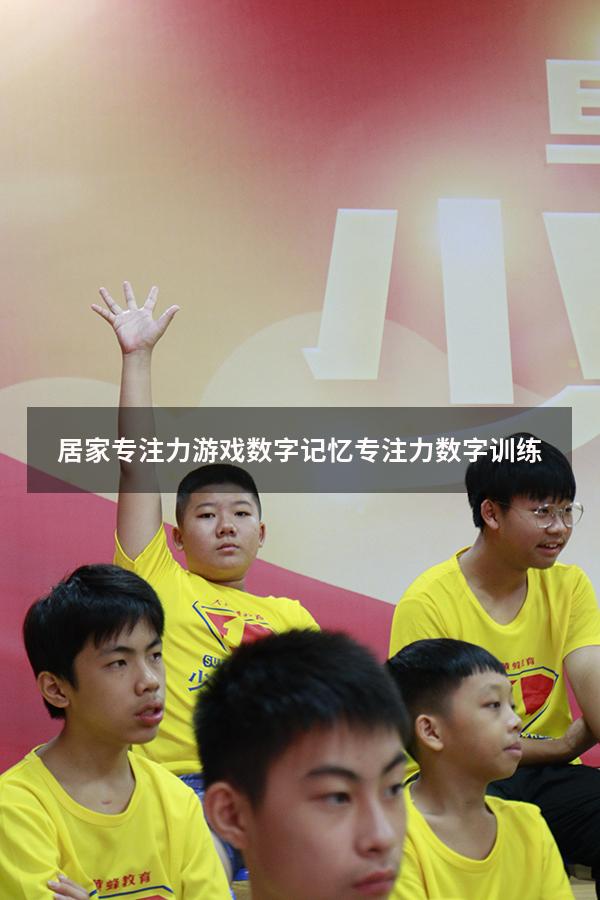 居家专注力游戏数字记忆（专注力数字训练）