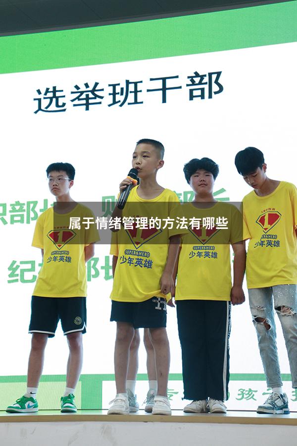 属于情绪管理的方法有哪些