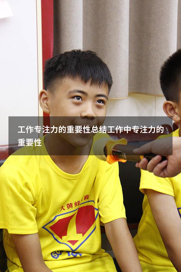 工作专注力的重要性总结（工作中专注力的重要性）