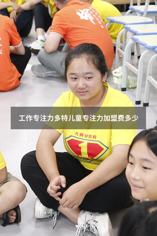 工作专注力（多特儿童专注力加盟费多少）