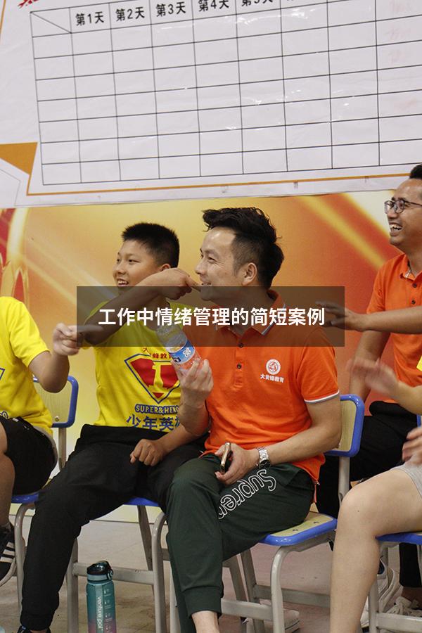 工作中情绪管理的简短案例
