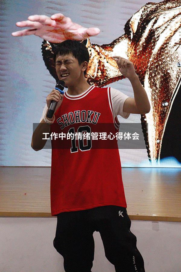 工作中的情绪管理心得体会