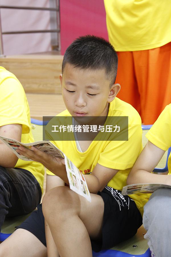 工作情绪管理与压力