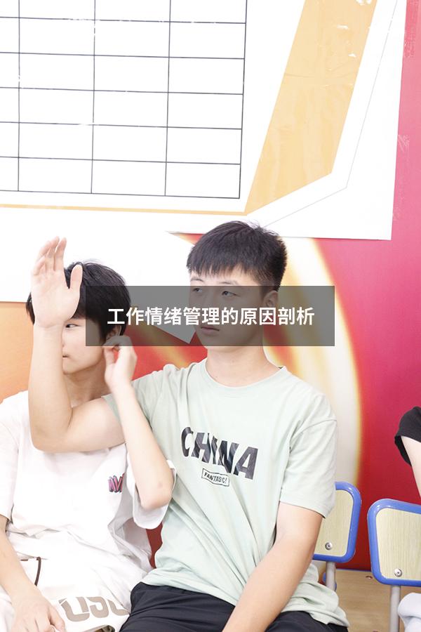 工作情绪管理的原因剖析
