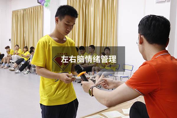 左右脑情绪管理