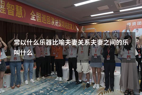 常以什么乐器比喻夫妻关系（夫妻之间的乐叫什么）