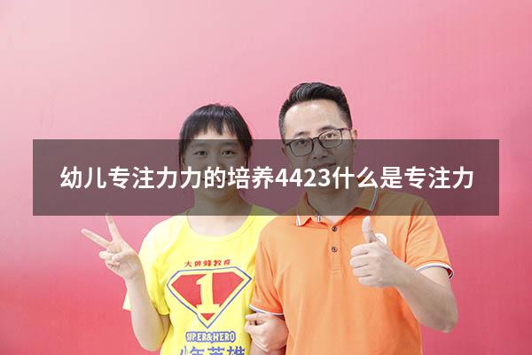 幼儿专注力力的培养4423（什么是专注力）