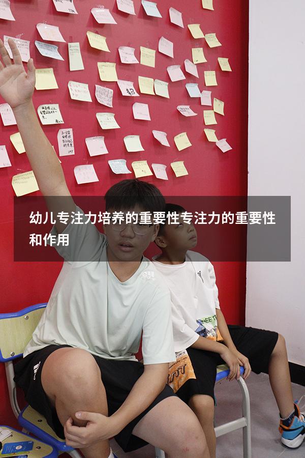 幼儿专注力培养的重要性（专注力的重要性和作用）
