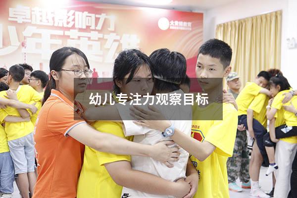 幼儿专注力观察目标