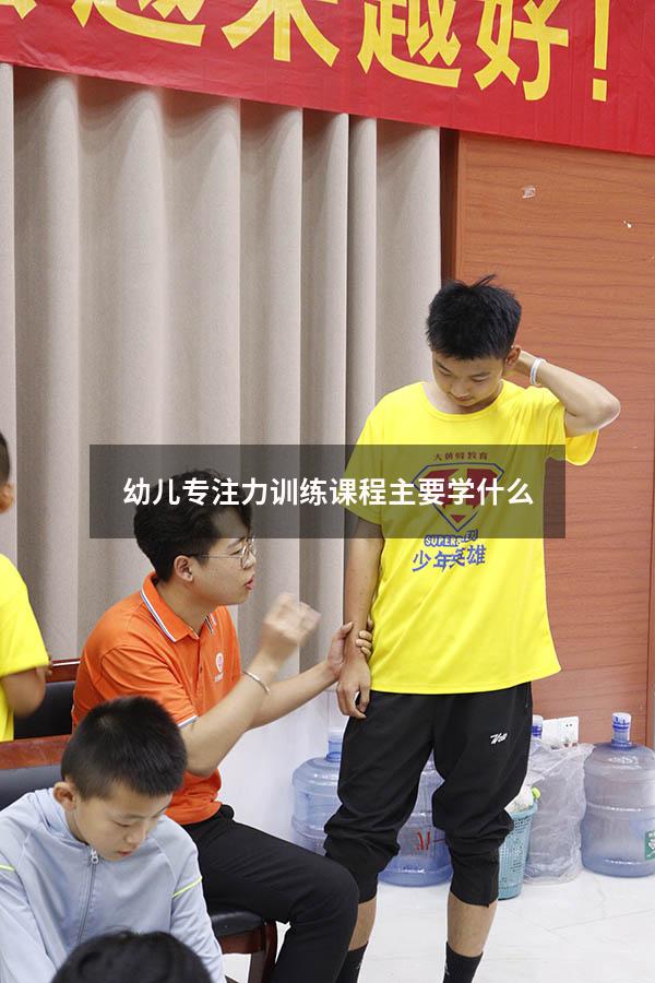幼儿专注力训练课程主要学什么